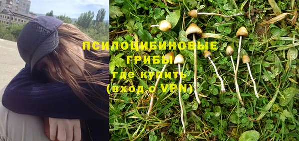 бутират Белокуриха