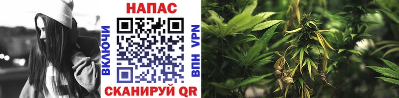 Бошки марихуана OG Kush  Жердевка 